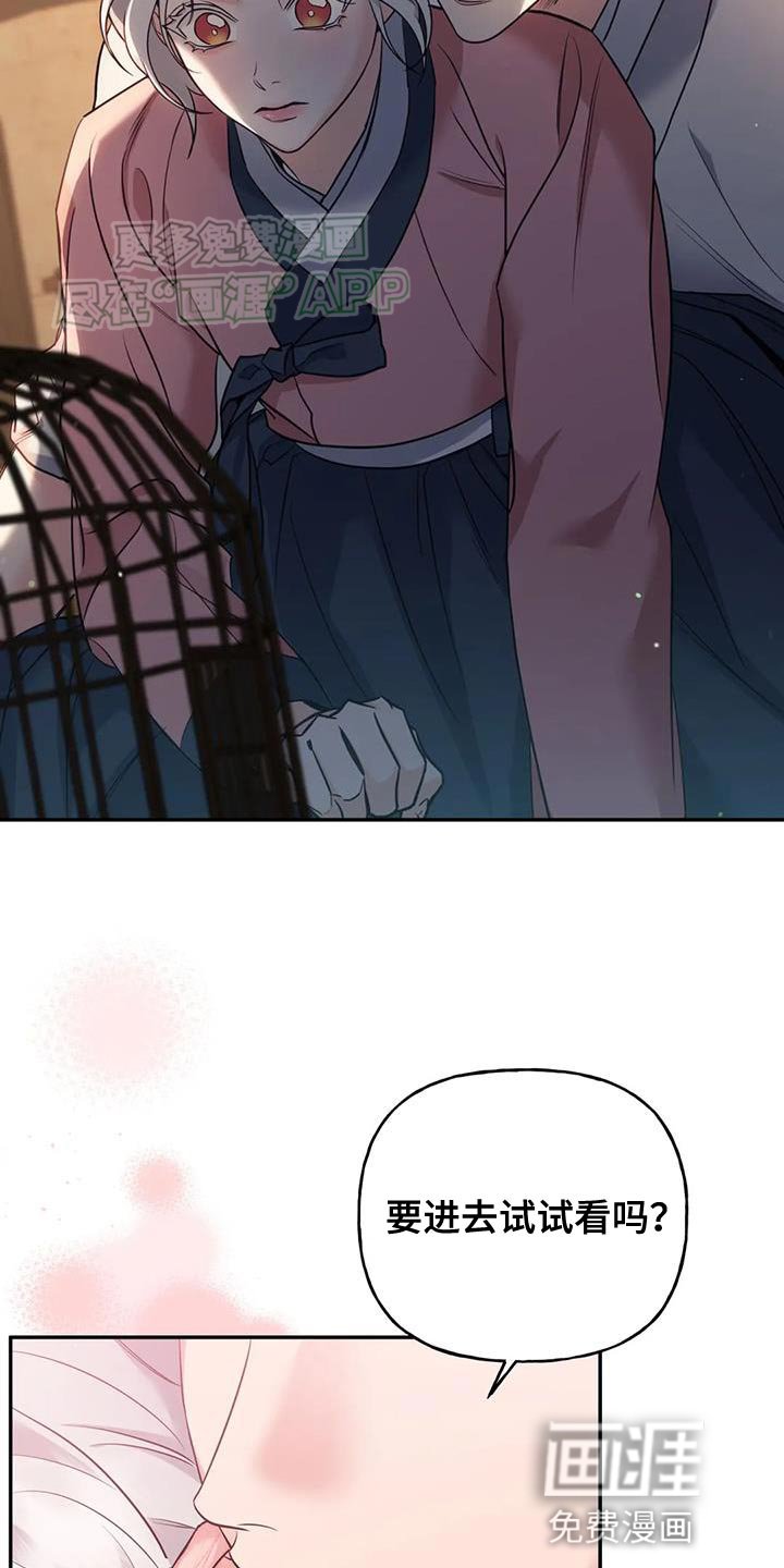 第31章：漂亮的小鸟