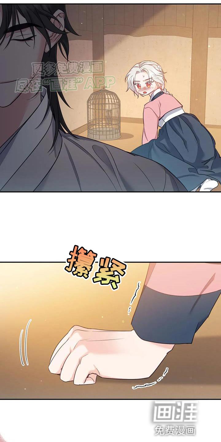 第31章：漂亮的小鸟