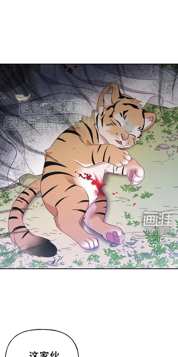 第36章：变化