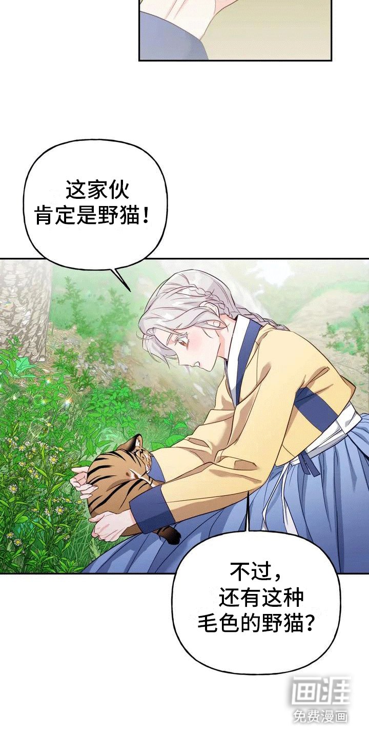 第4章：老虎