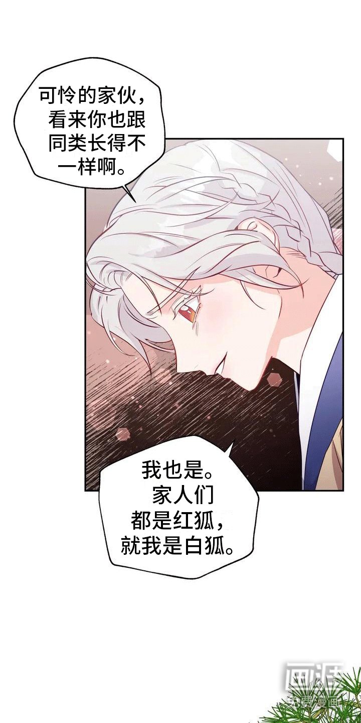 第4章：老虎