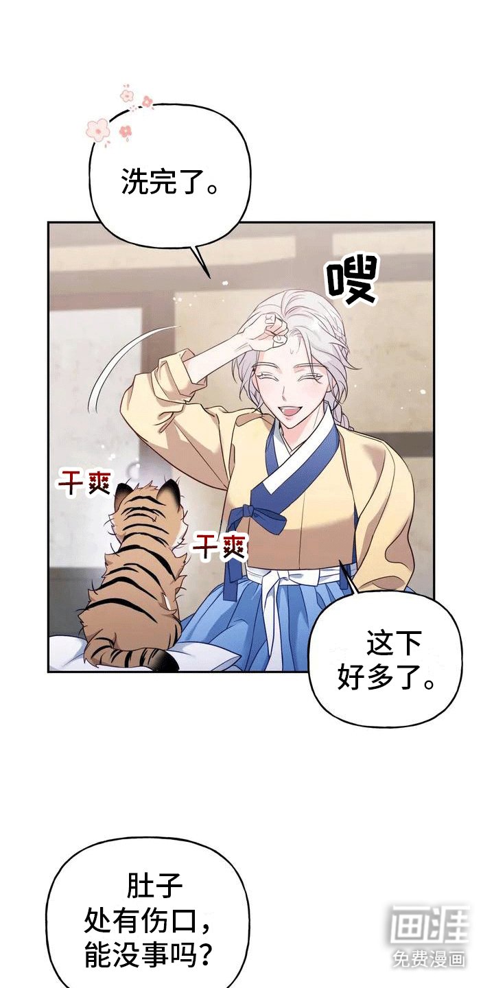第4章：老虎