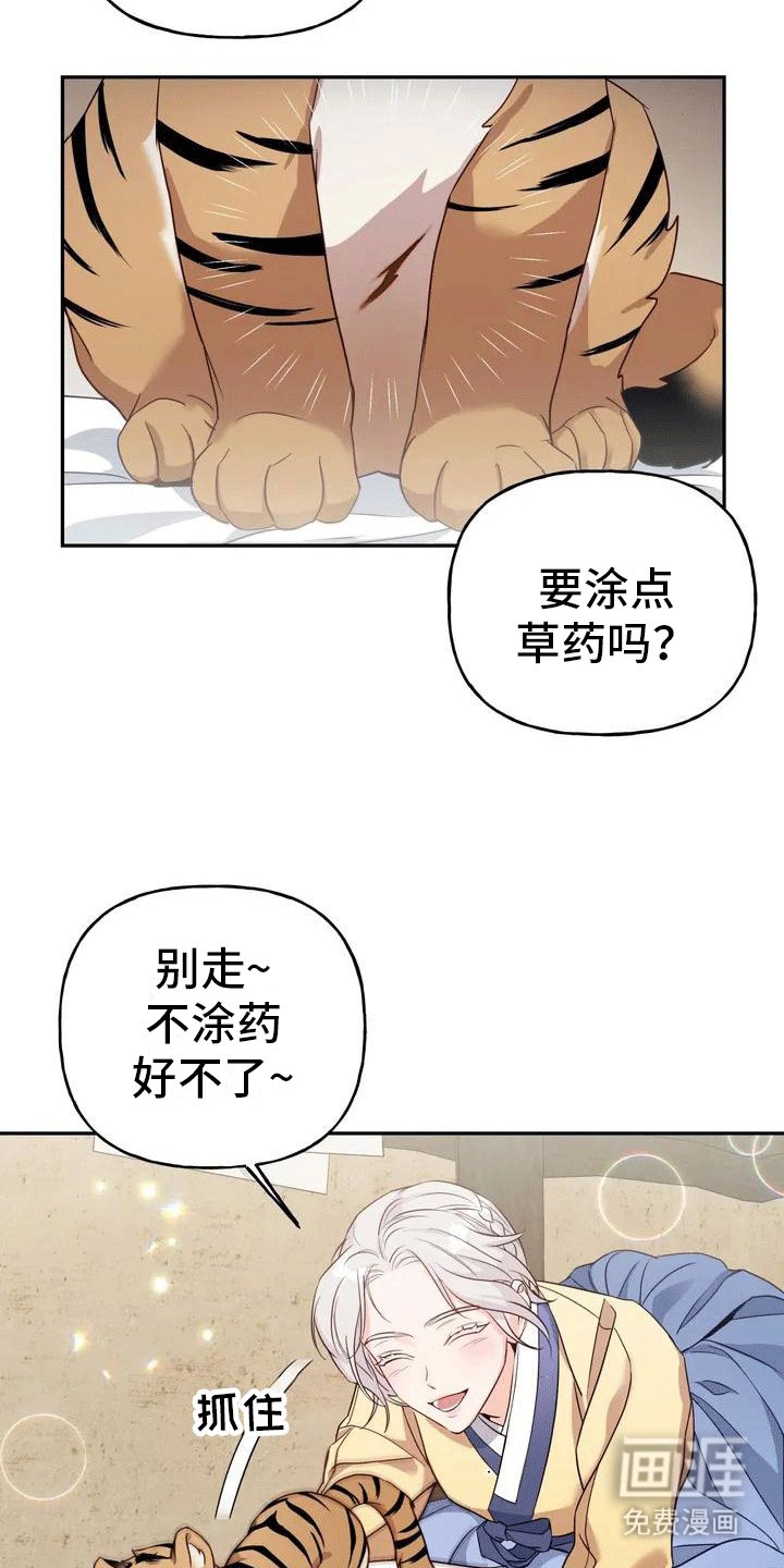 第4章：老虎