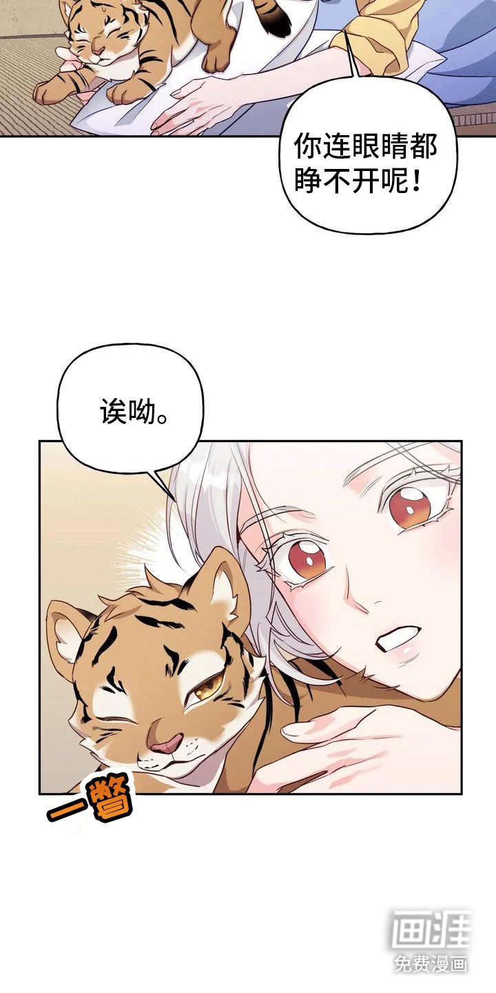 第4章：老虎
