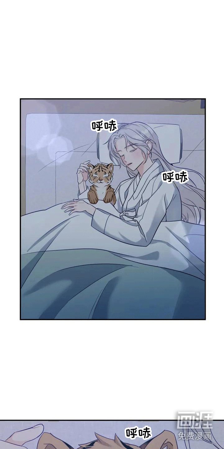 第4章：老虎