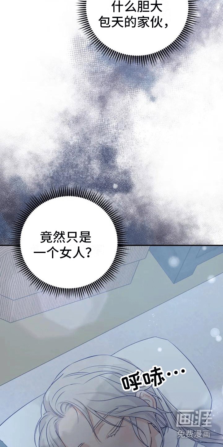 第4章：老虎