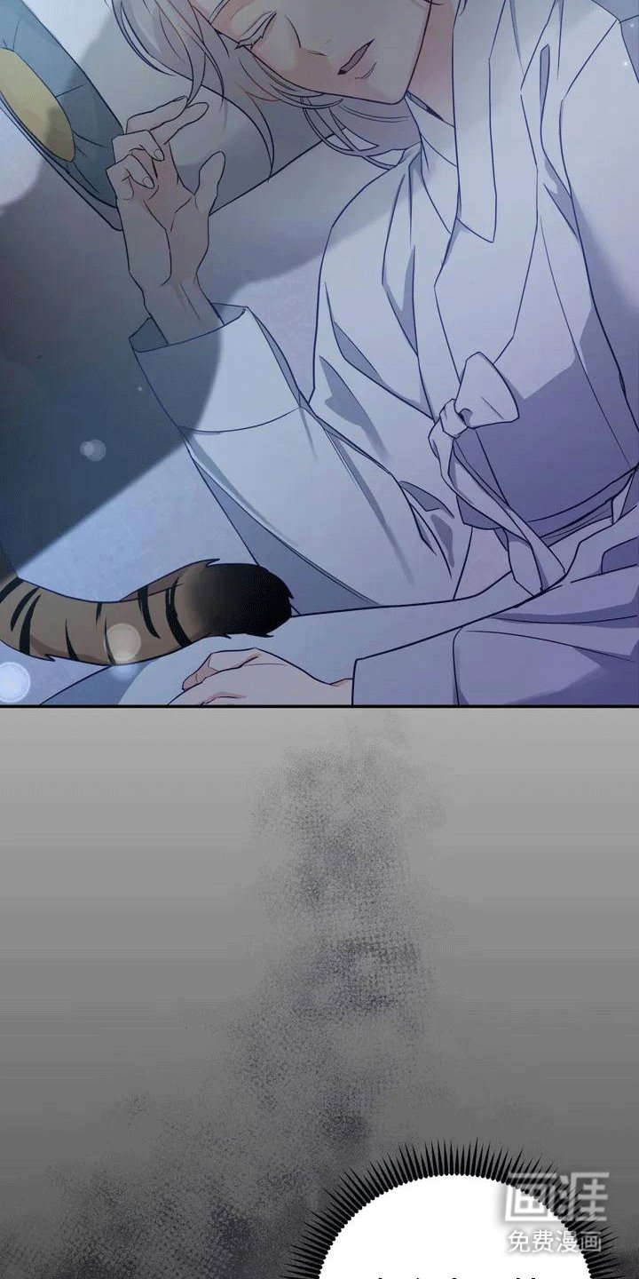 第4章：老虎