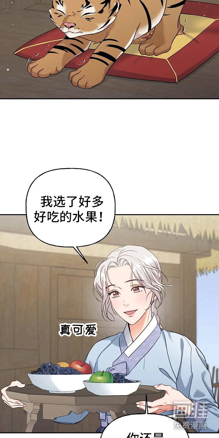 第4章：老虎