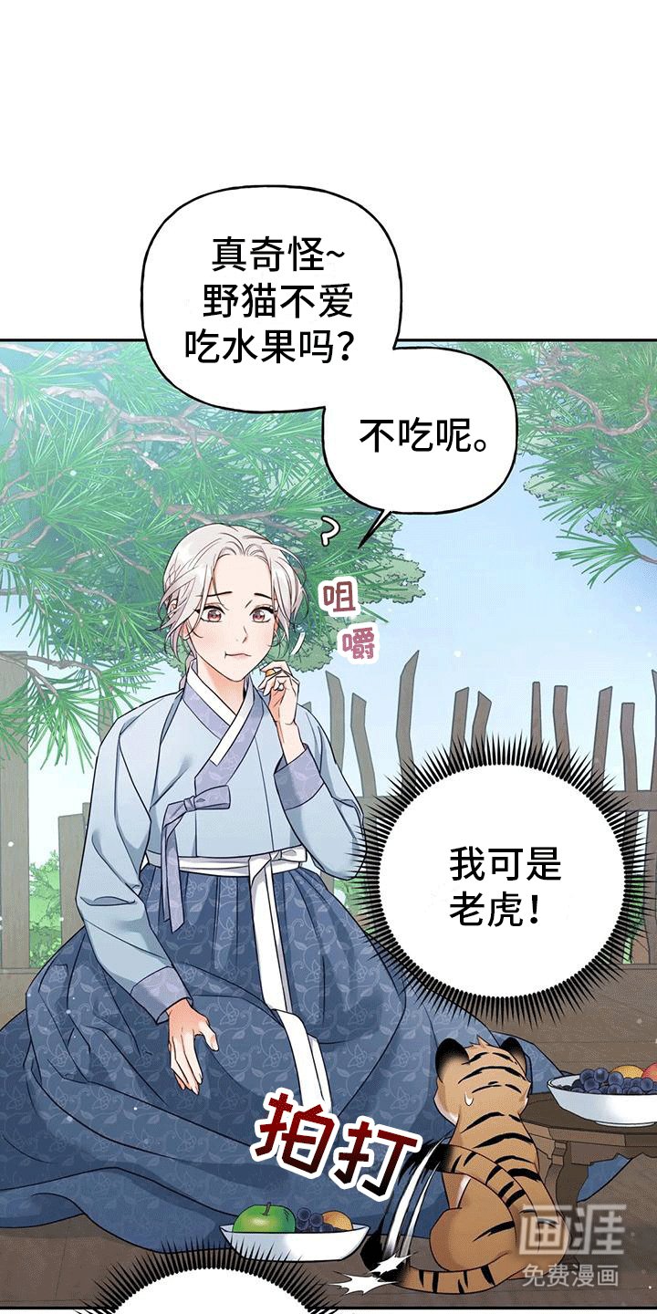 第4章：老虎