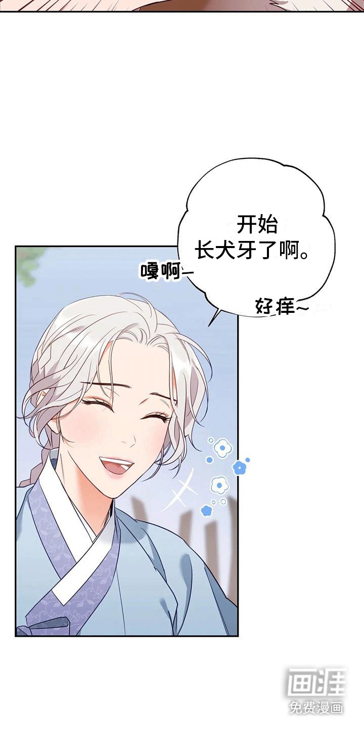第4章：老虎
