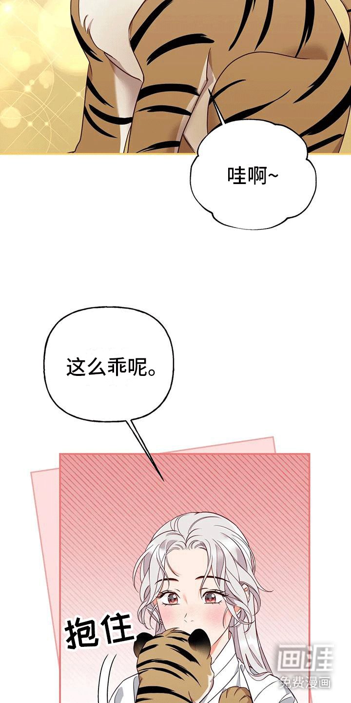 第8章：暴露