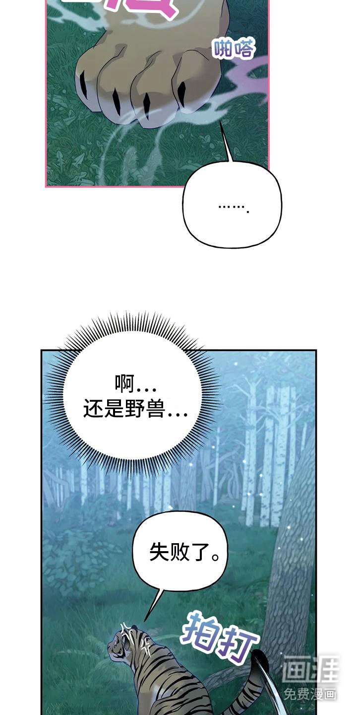 第8章：暴露