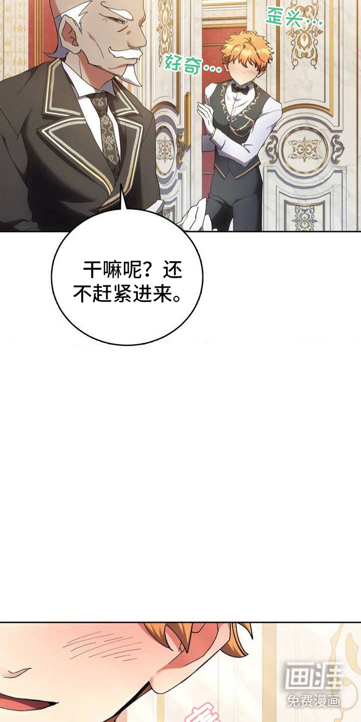 第4章：柏