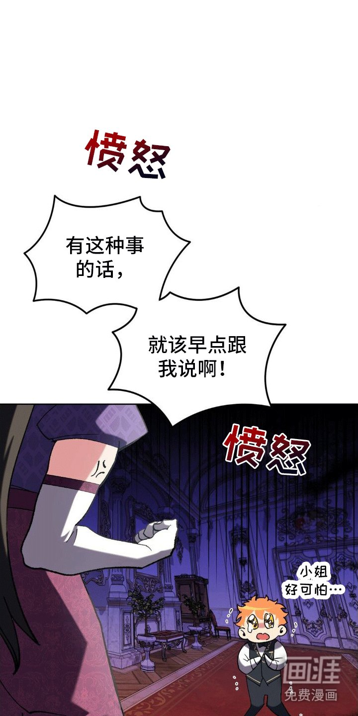 第5章：执政官