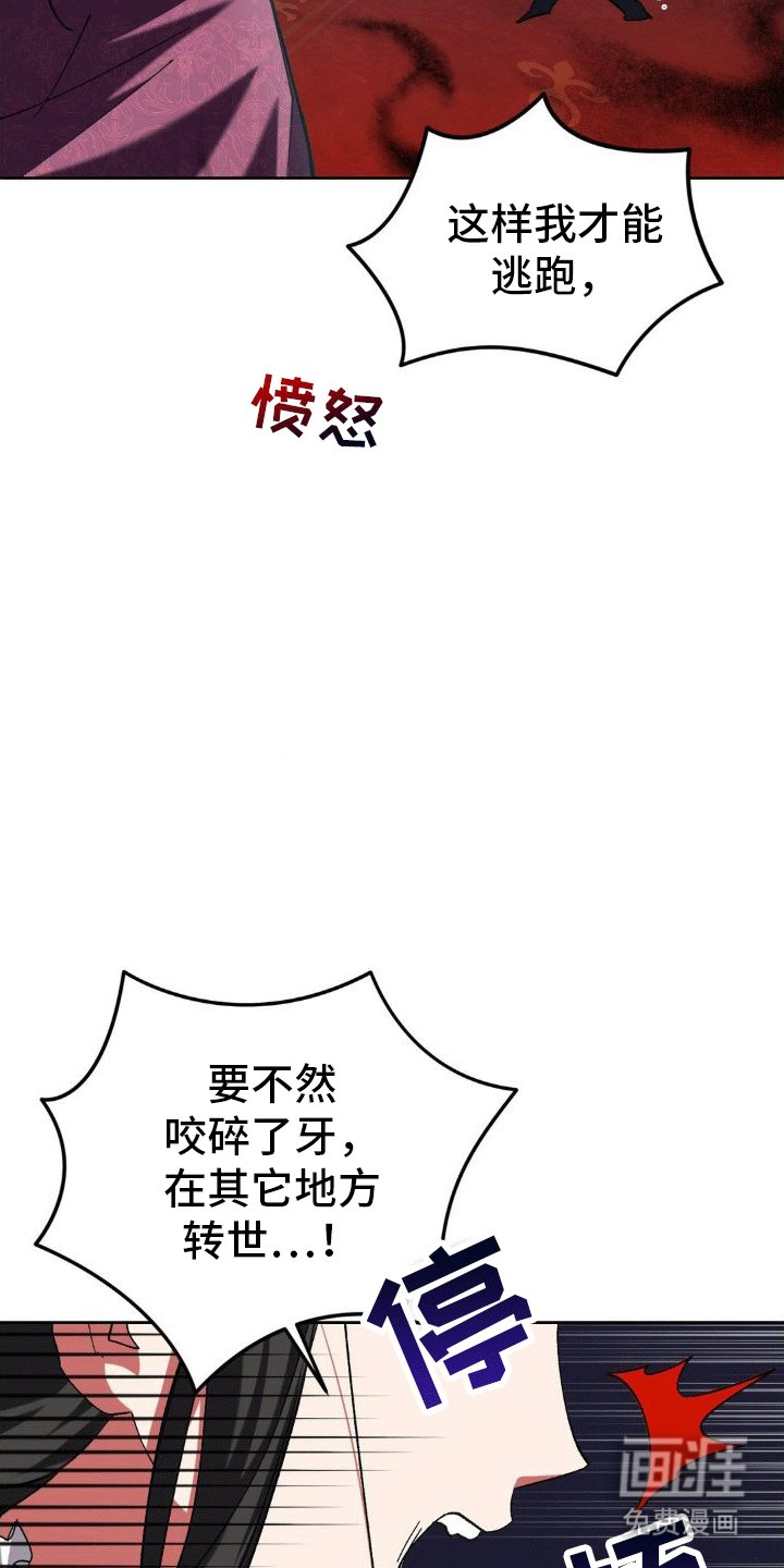 第5章：执政官