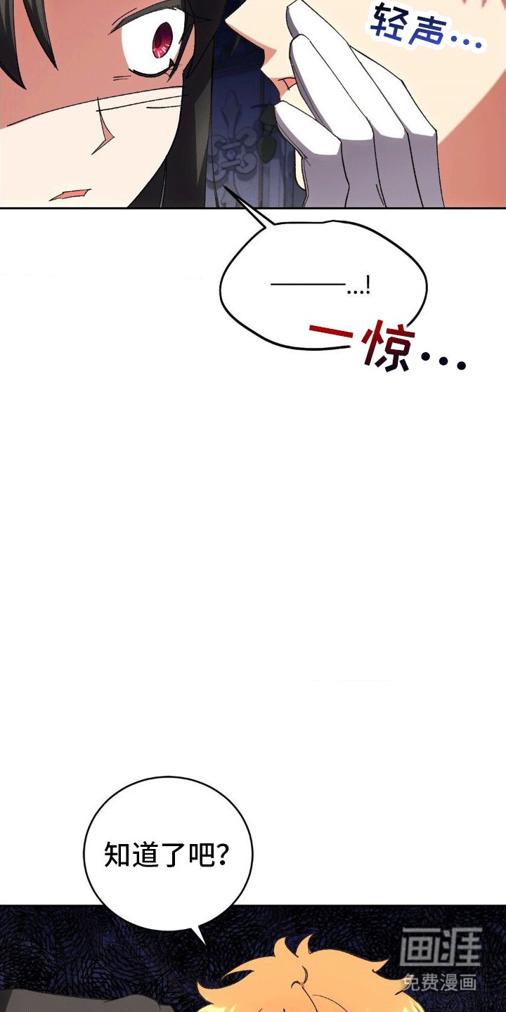 第5章：执政官