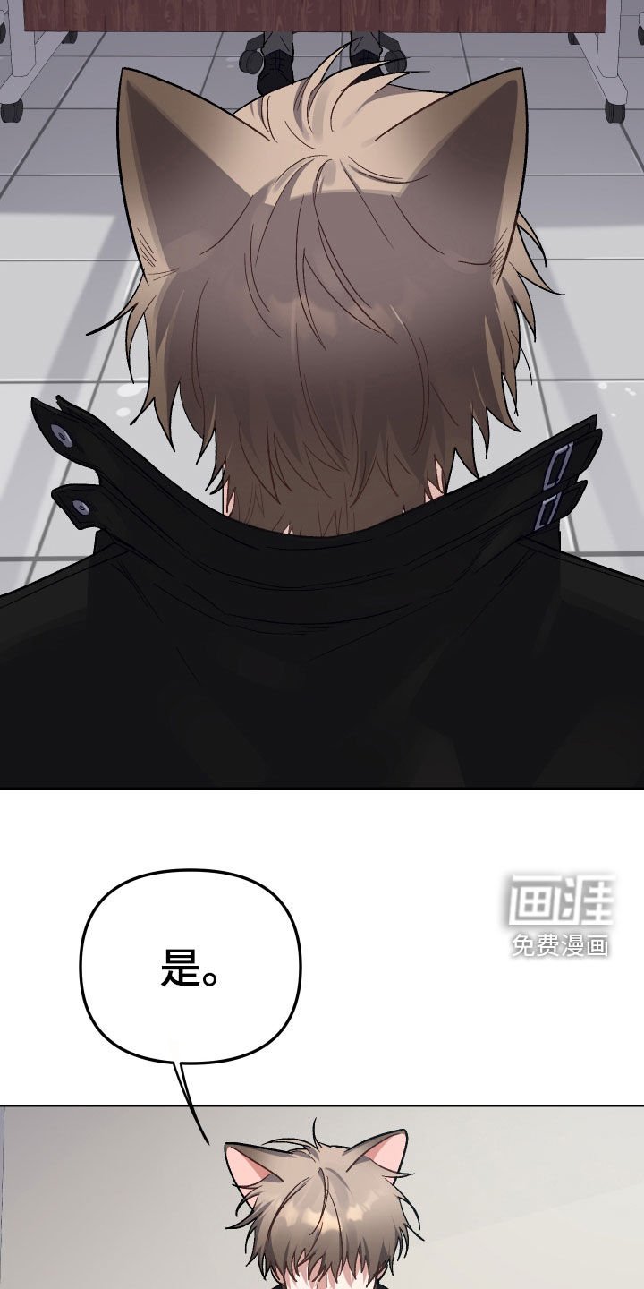 第11章：认错
