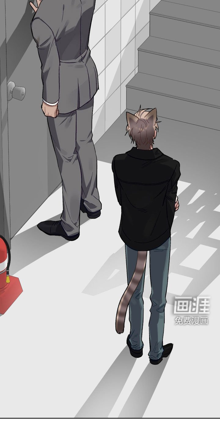 第11章：认错