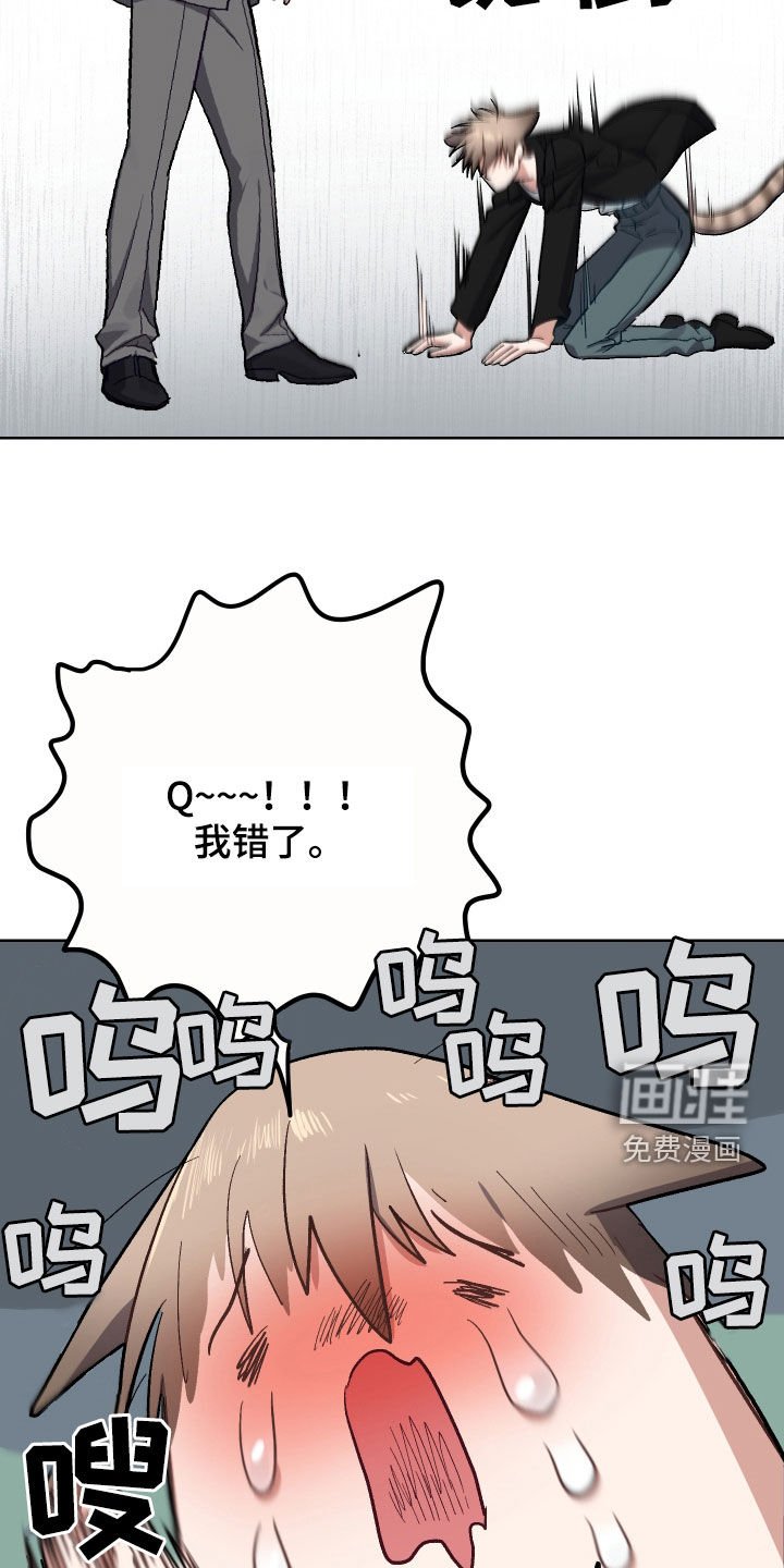 第11章：认错