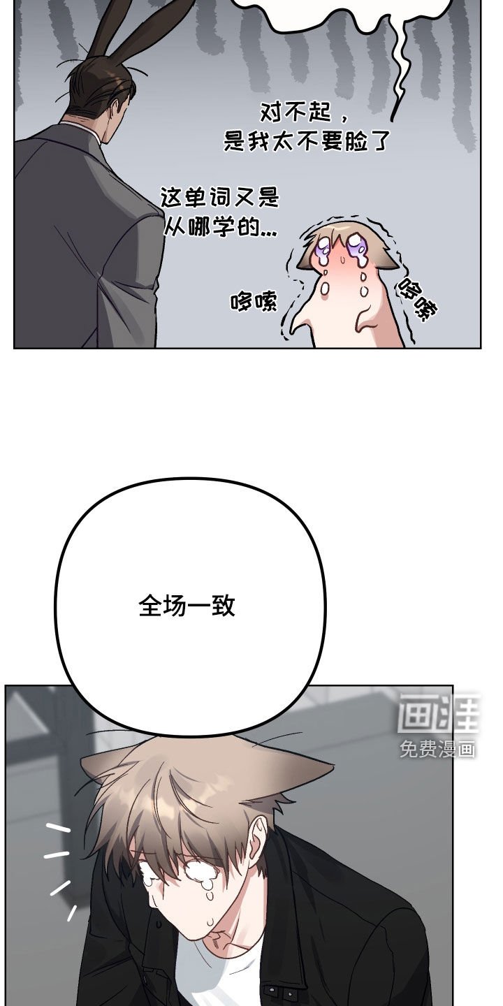 第11章：认错
