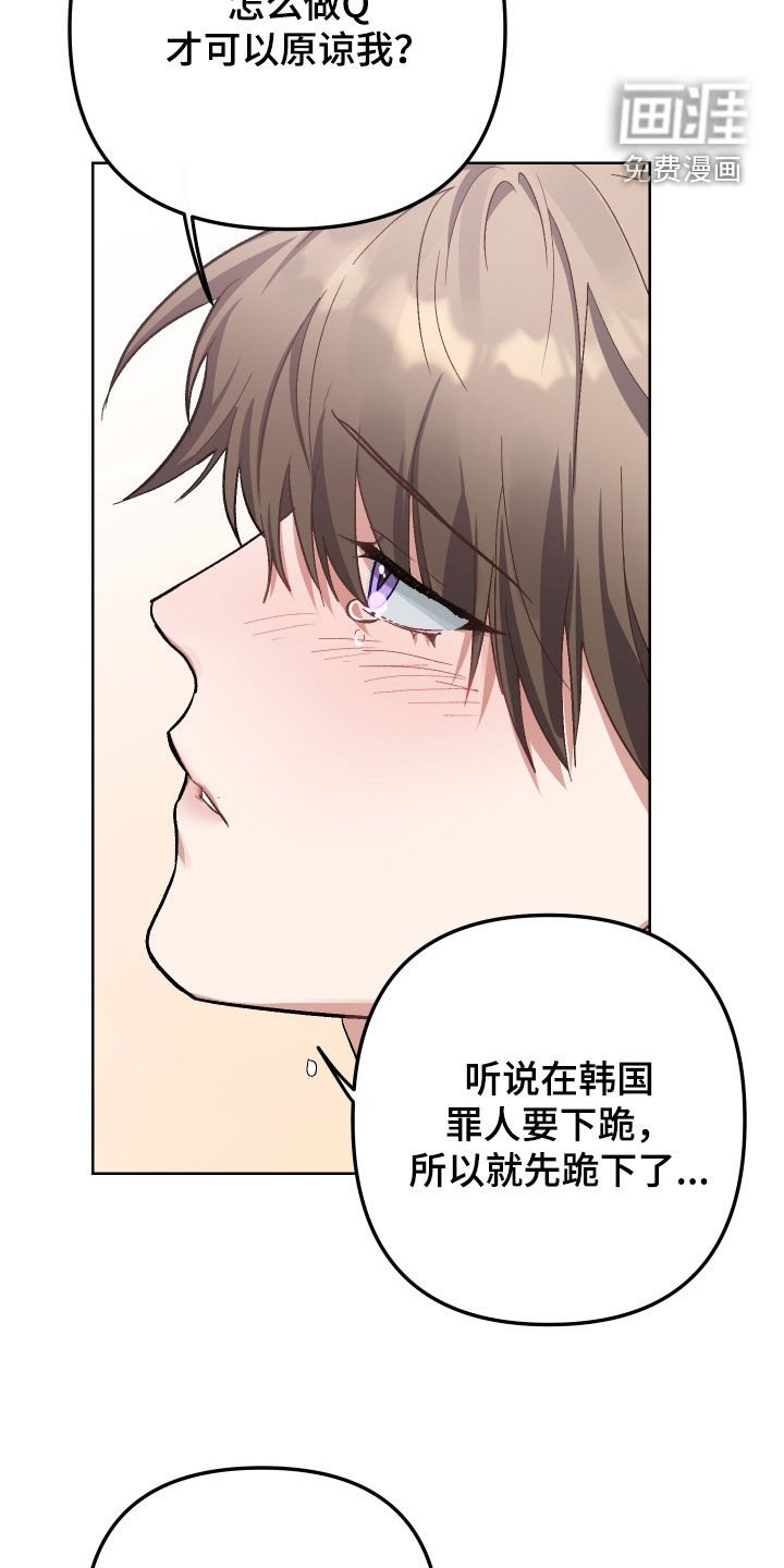 第12章：交往（完结）