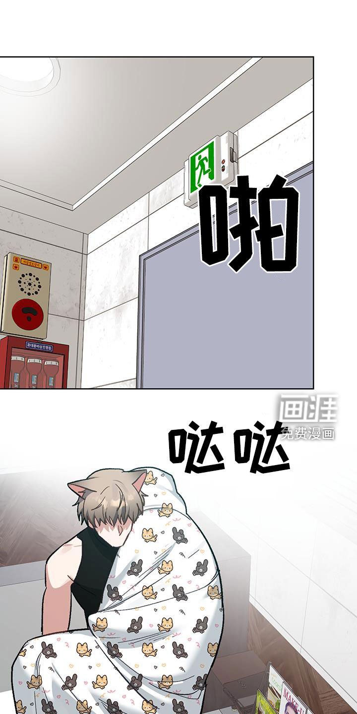 第14章：【番外】真是笨蛋