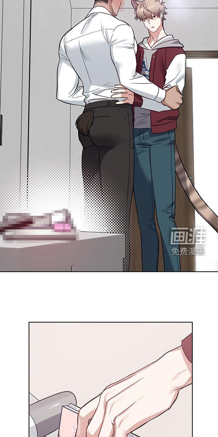 第19章：【番外】不需要改变