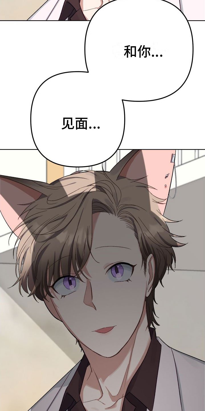 第3章：见面