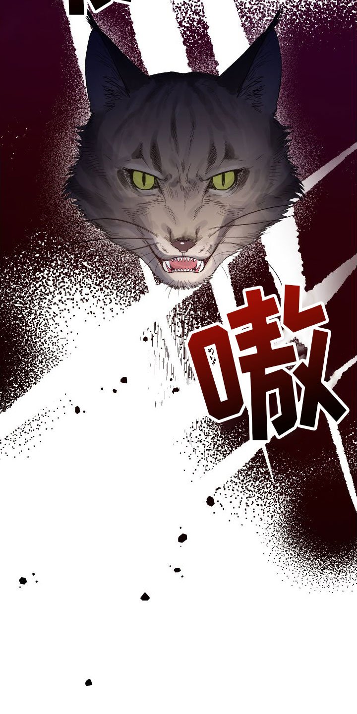 第3章：见面