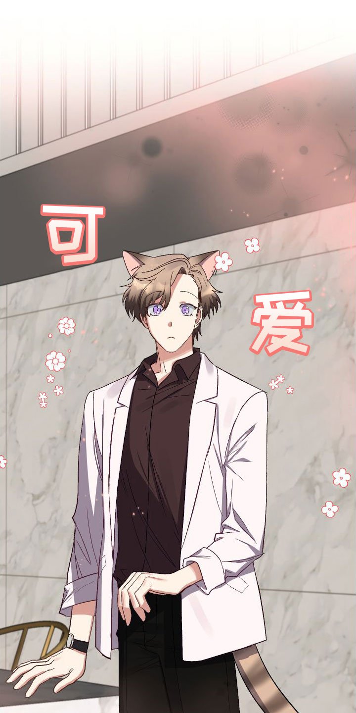 第3章：见面