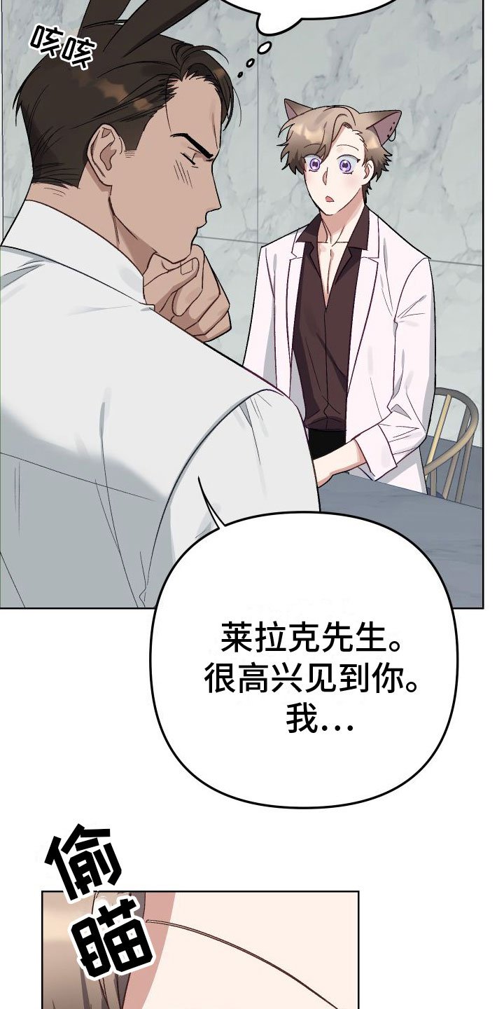 第3章：见面