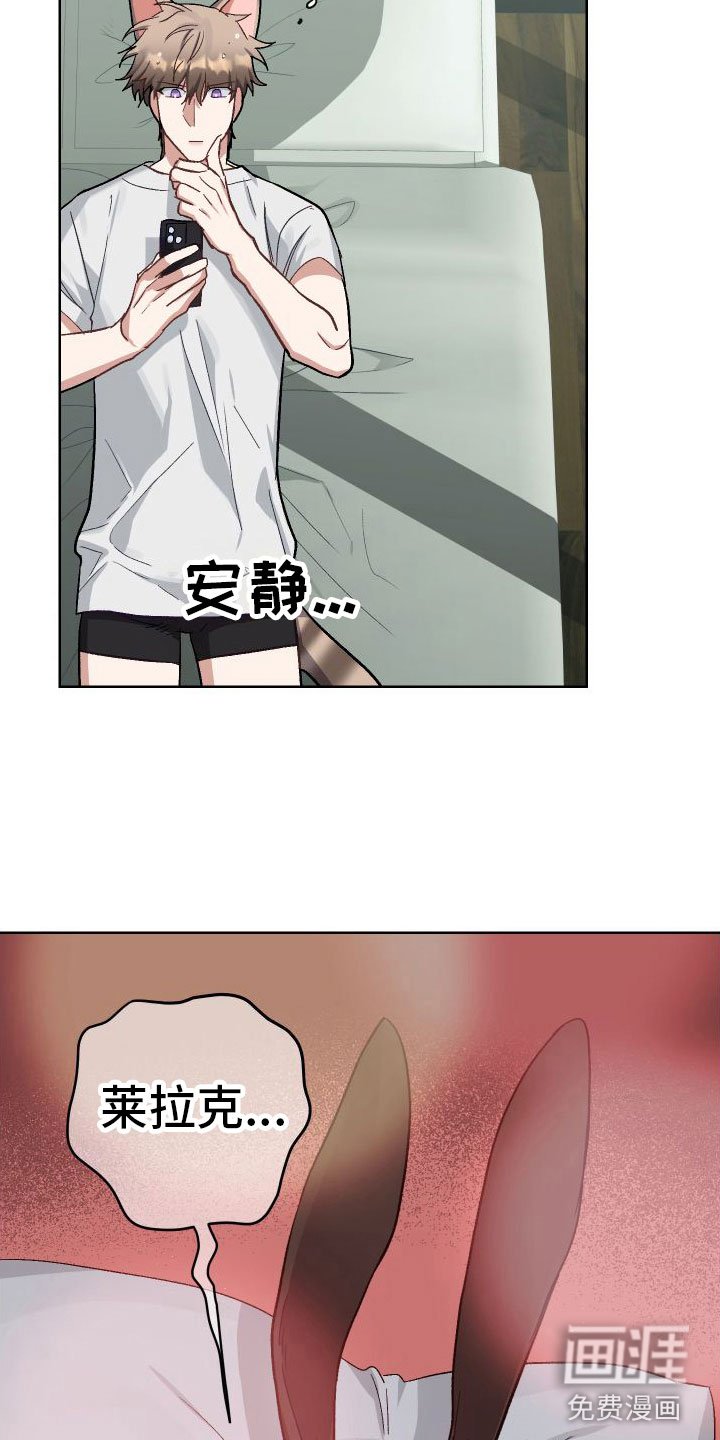 第6章：不行