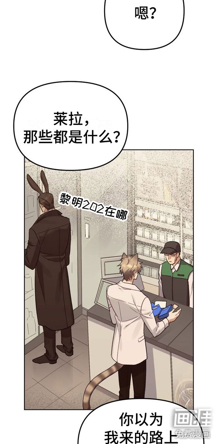 第6章：不行