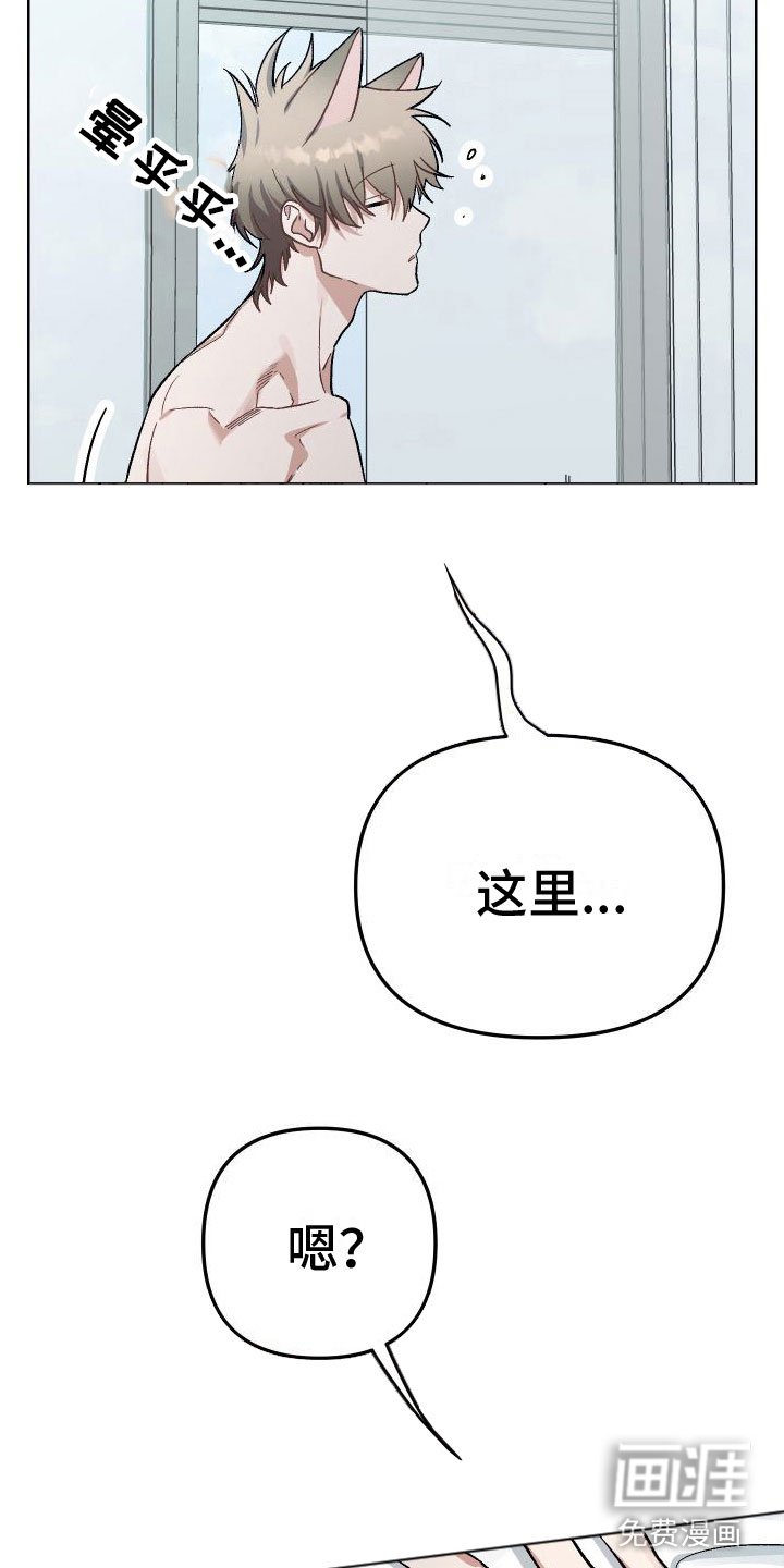 第7章：对不起