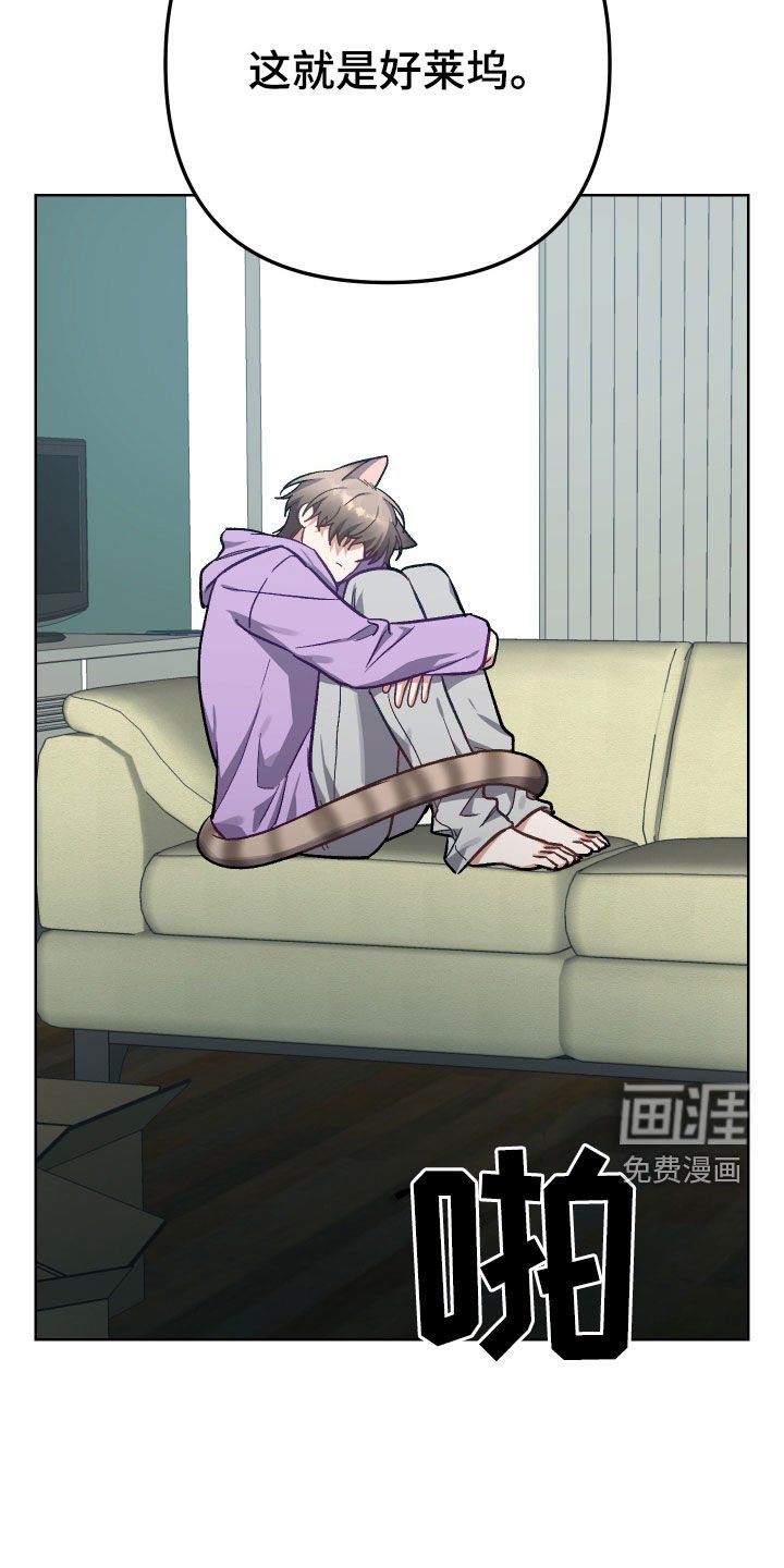 第8章：大新闻
