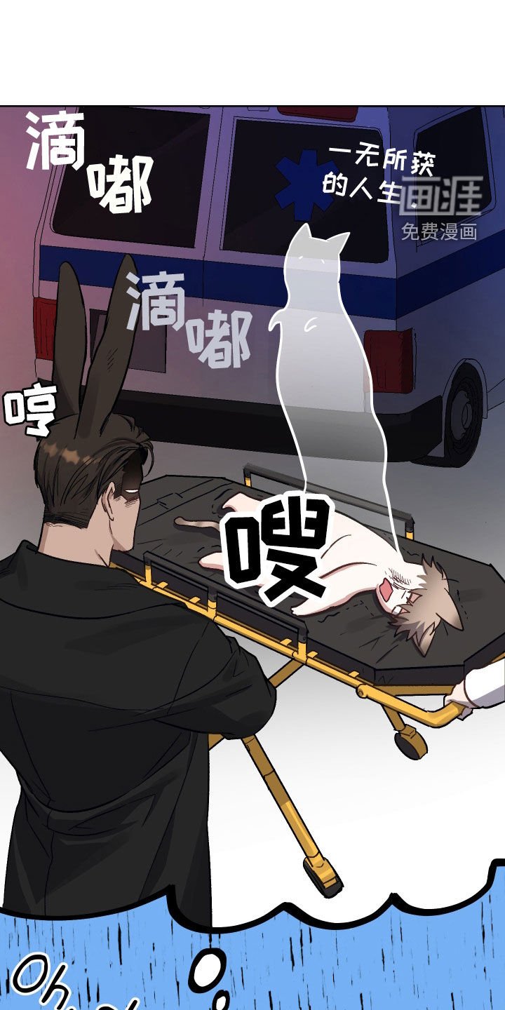 第9章：决定