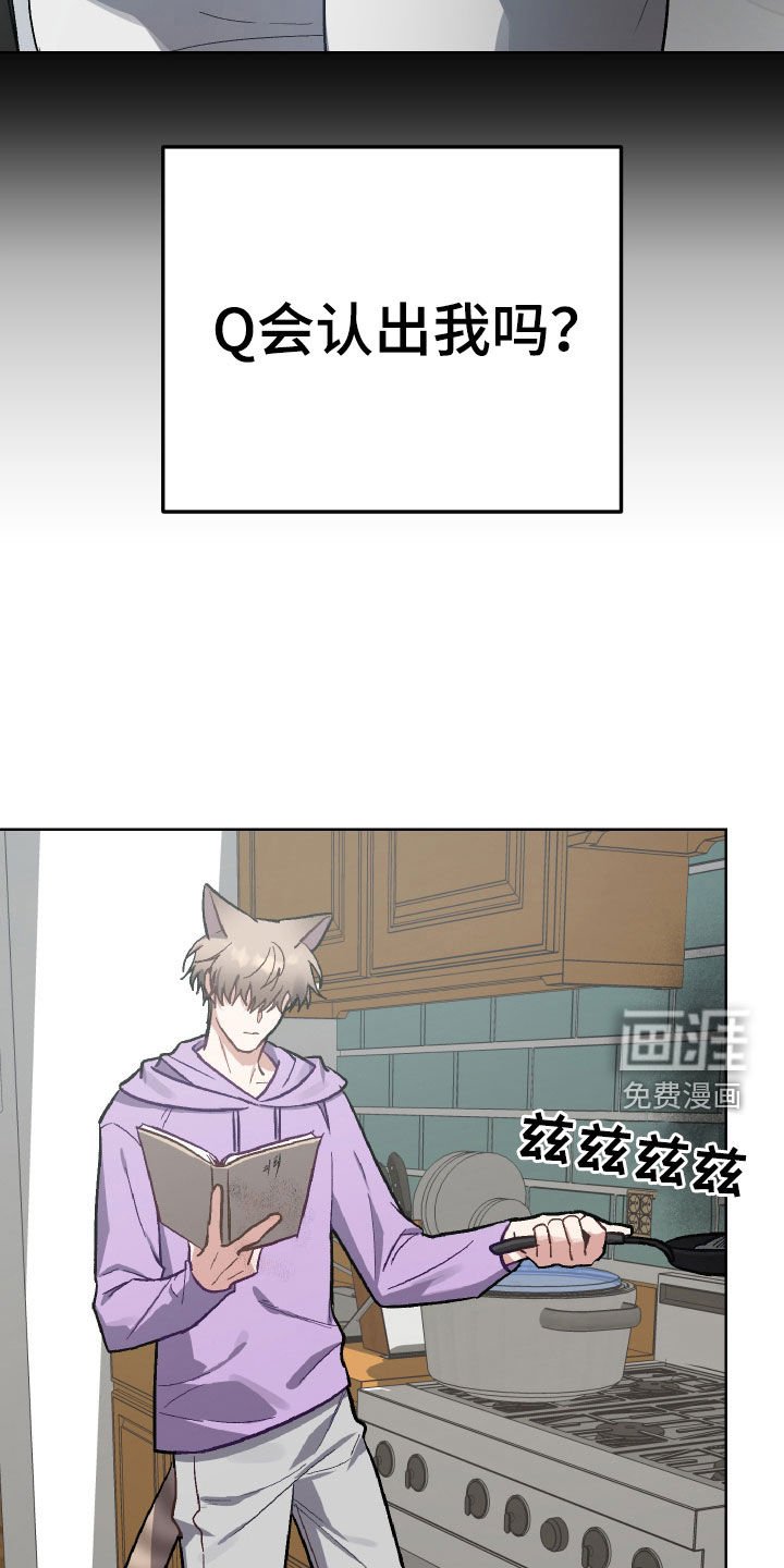 第9章：决定