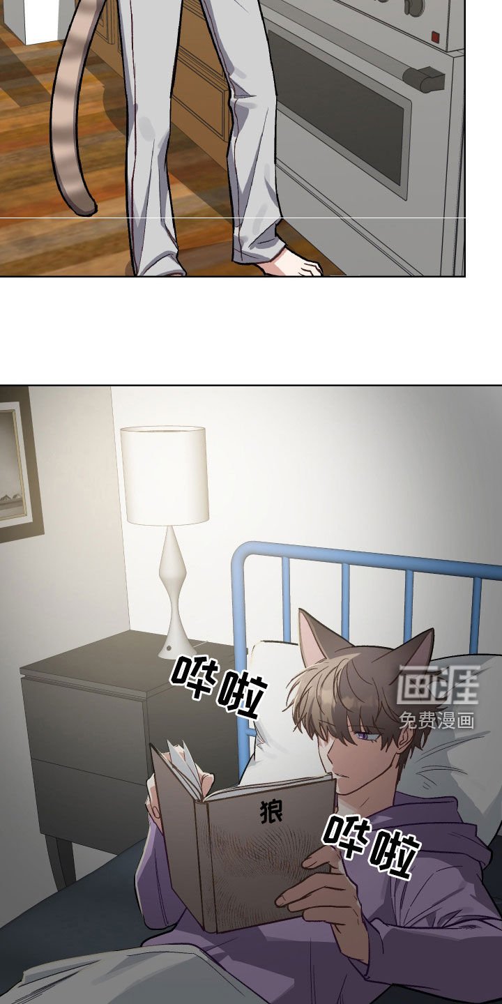 第9章：决定