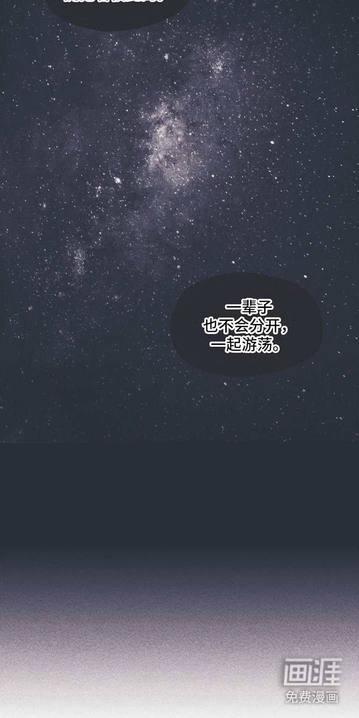 第14章：挽救计划