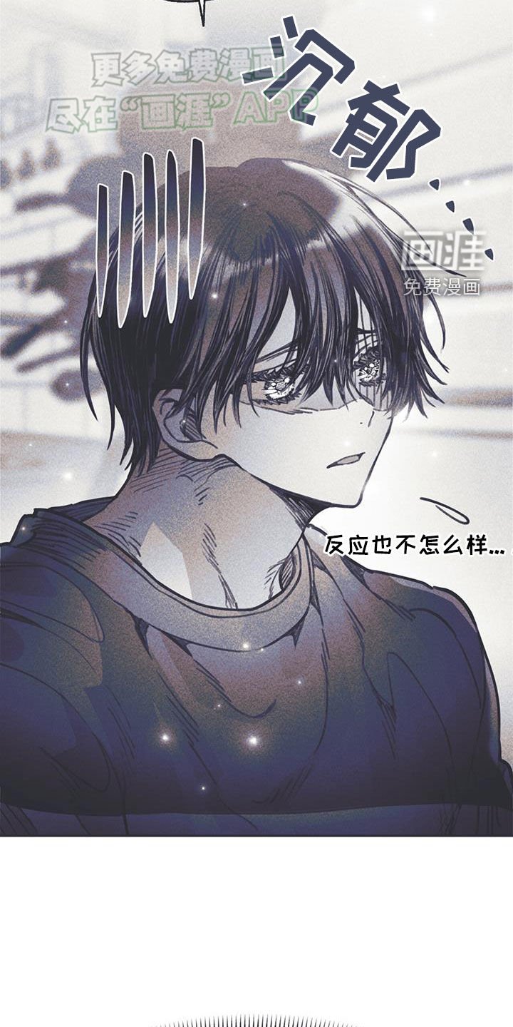 第26章：意见