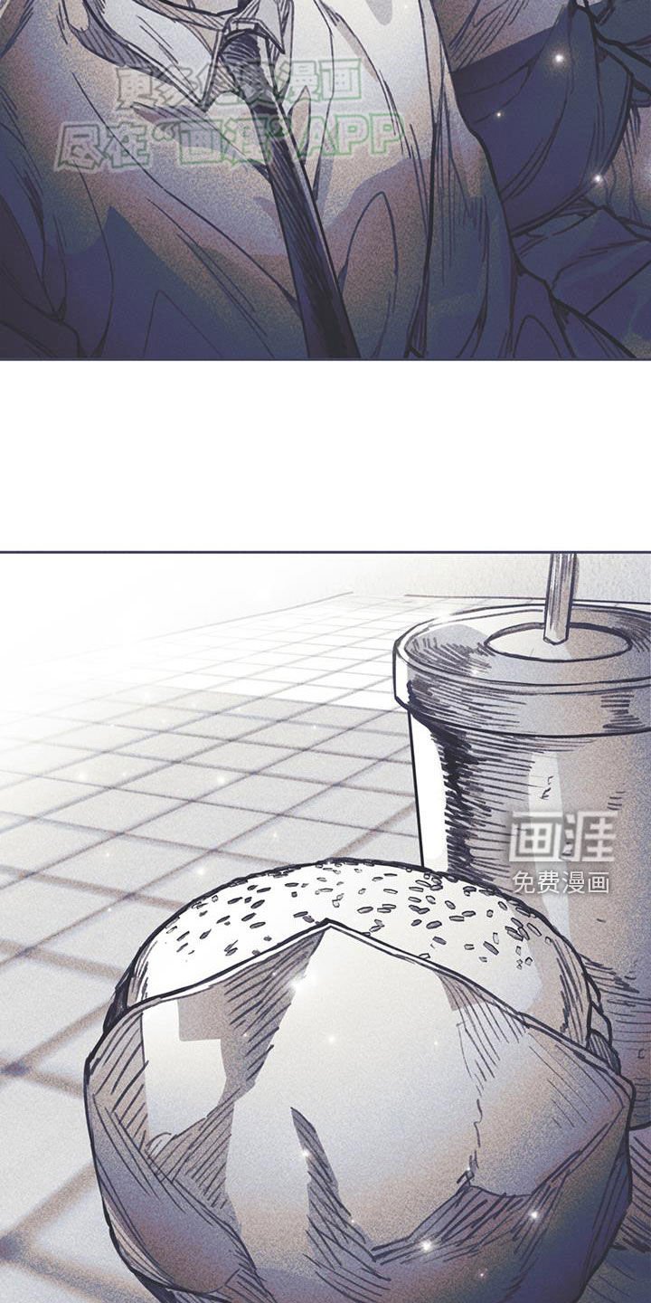 第26章：意见