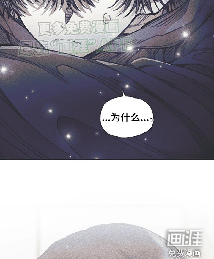 第31章：臭小子