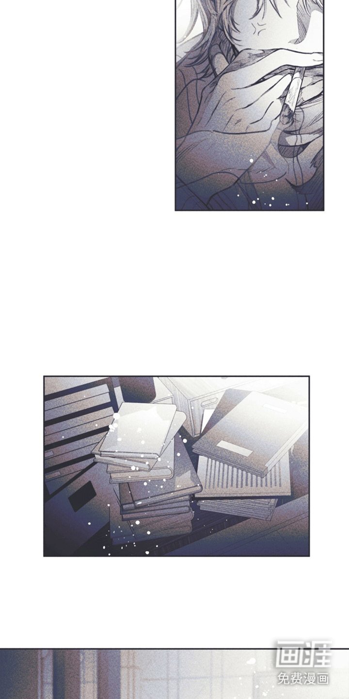 第6章：粉丝