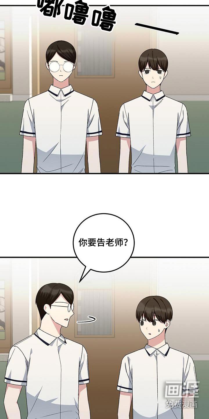 第28章：小报告