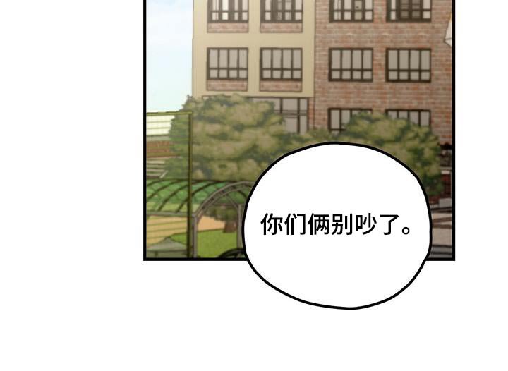 第54章：有喜欢的人