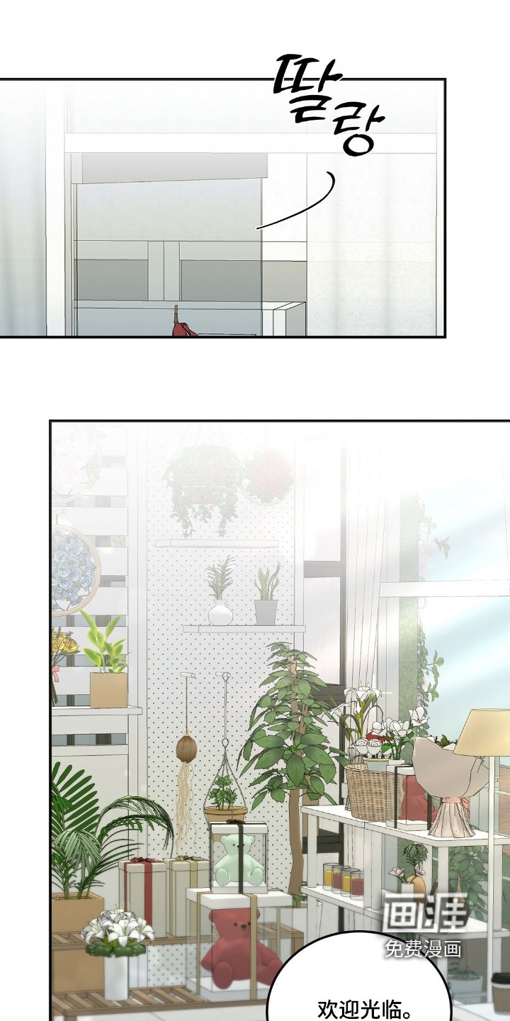 第97章：棉花