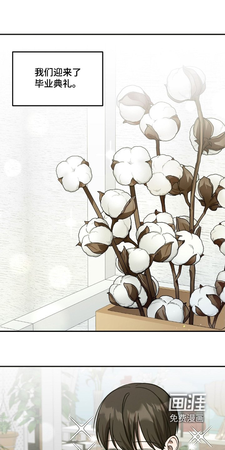 第97章：棉花