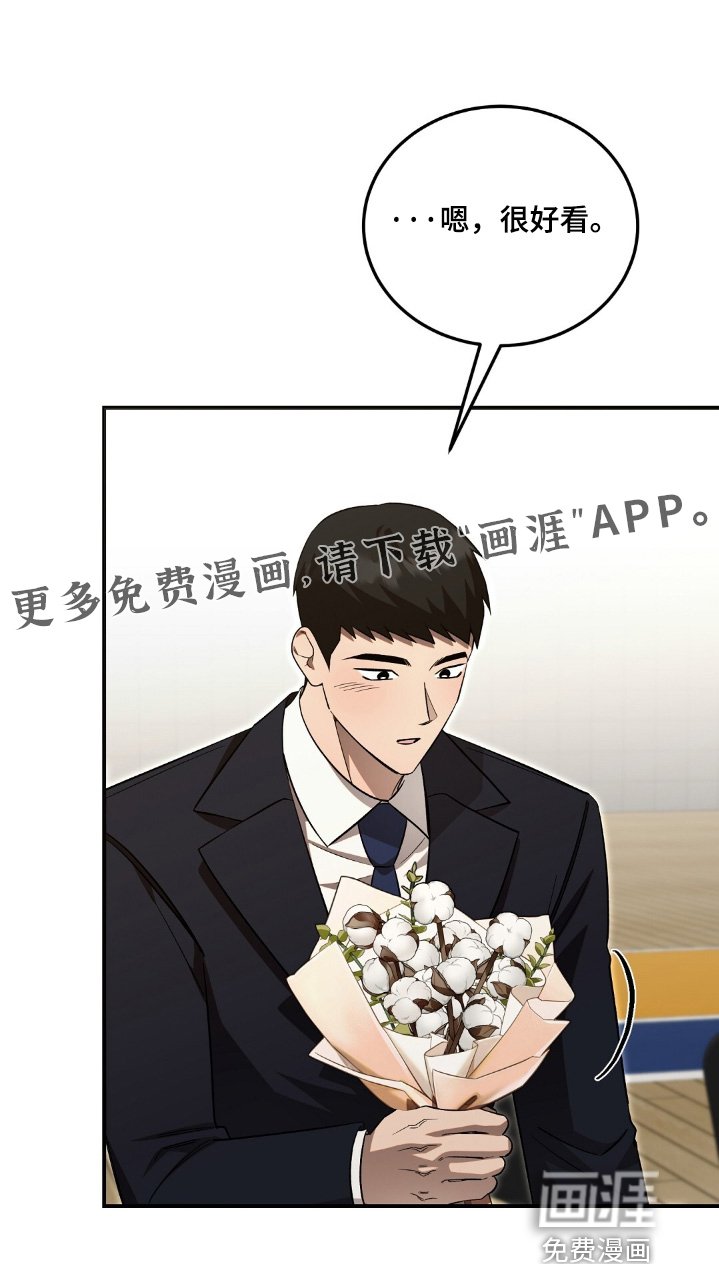 第97章：棉花