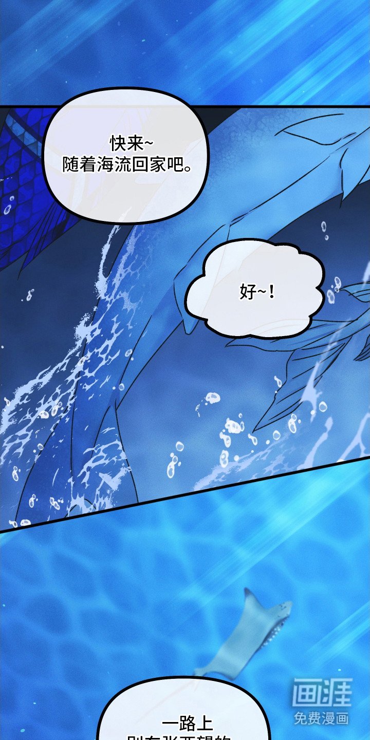 第1章：美人鱼