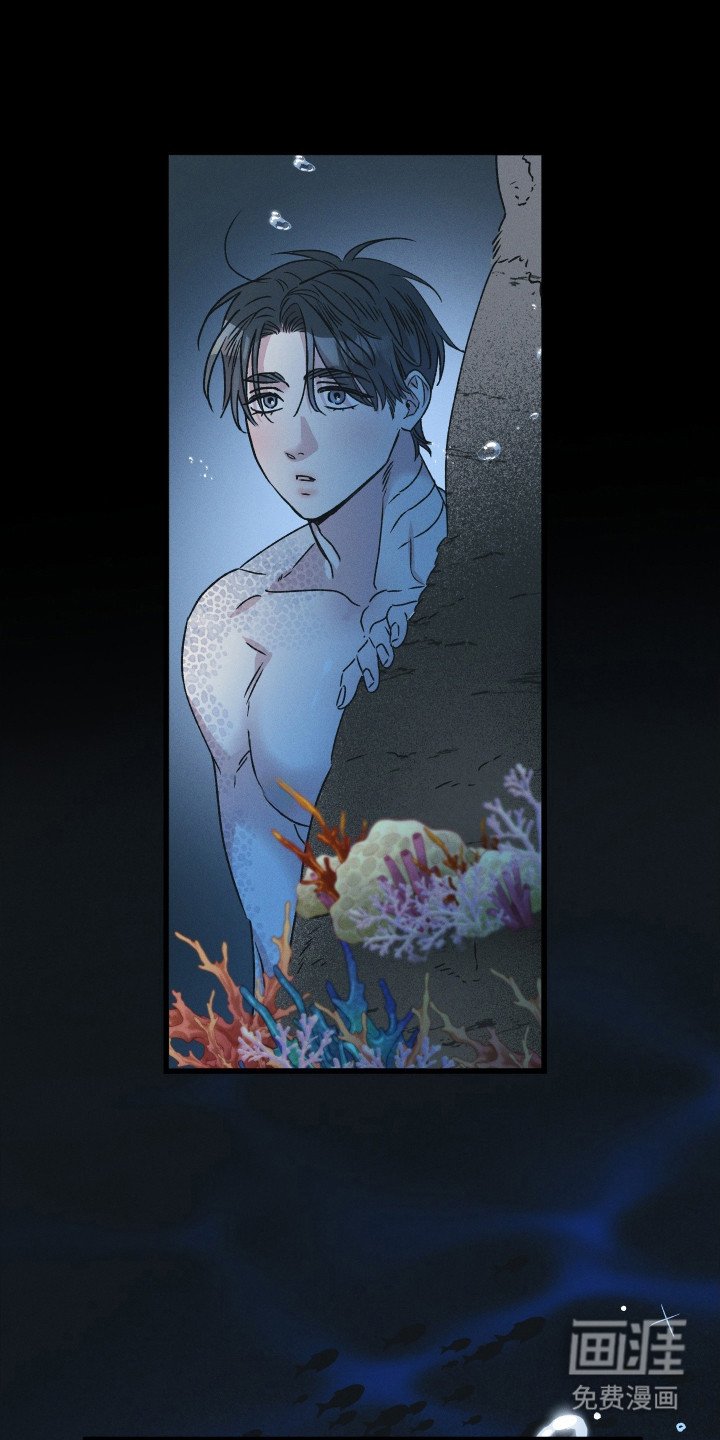 第1章：美人鱼